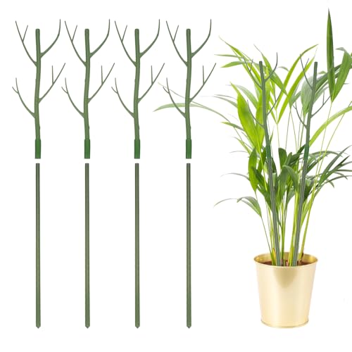 QUARKZMAN 4 Stück Pflanzenstützen 27 5 Zoll Zweig Pflanzenstamm Stützstrukturen Gartenzweige Pflanzenstützen Für Haus Topf Monstera Pflanzen Grün QUARKZMAN 4 Stück Pflanzenstützen 27 5 Zoll Zweig Pflanzenstamm Stützstrukturen Gartenzweige Pflanzenstützen Für Haus Topf Monstera Pflanzen Grün von QUARKZMAN