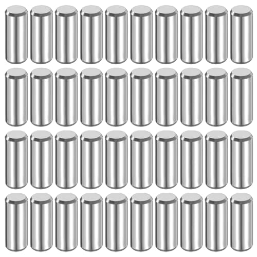 QUARKZMAN 40 Stück Zylinderstifte Rostfrei, 6 mm x 15 mm Spannstift Passstift, 316L Metallstifte Edelstahl, Dübelstifte Bolzen Metall für DIY, Möbel, Bastelprojekte von QUARKZMAN