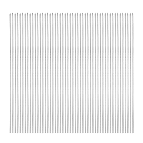 QUARKZMAN 50 Stück Schaschlikspieße Edelstahl 28cm x 3mm Edelstahl Runde Stäbe Wiederverwendbare BBQ-Grillspieße Outdoor-Grill Grillen Stick für Fleisch Garnelen Obst Gemüse QUARKZMAN 50 Stück Schaschlikspieße Edelstahl 28cm x 3mm Edelstahl Runde Stäbe Wiederverwendbare BBQ-Grillspieße Outdoor-Grill Grillen Stick für Fleisch Garnelen Obst Gemüse von QUARKZMAN