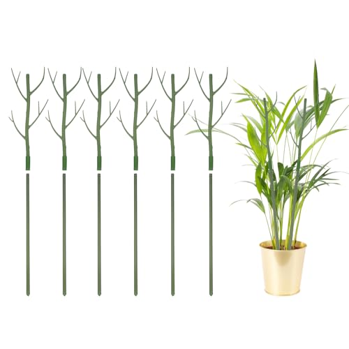 QUARKZMAN 6 Stück Pflanzenstützen, 27,5" Zweig Pflanzenstamm Stützstrukturen Garten Zweige Pflanzenstützen Für Haus Topf Monstera Pflanzen, Grün QUARKZMAN 6 Stück Pflanzenstützen, 27,5" Zweig Pflanzenstamm Stützstrukturen Garten Zweige Pflanzenstützen Für Haus Topf Monstera Pflanzen, Grün von QUARKZMAN