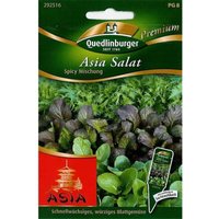 Quedlinburger Asia Salat Spicy Mischung - Premium Gemüsesamen Quedlinburger Asia Salat Spicy Mischung - Premium Gemüsesamen von QUEDLINBURGER SAATGUT