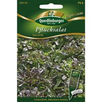 Quedlinburger Pflücksalat Hussarde - Premium Gemüsesamen Quedlinburger Pflücksalat Hussarde - Premium Gemüsesamen von QUEDLINBURGER SAATGUT