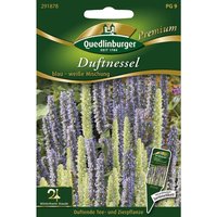 Quedlinburger Saatgut - Quedlinburger Duftnessel blau-weiße Mischung - Premium Blumensamen Quedlinburger Saatgut - Quedlinburger Duftnessel blau-weiße Mischung - Premium Blumensamen von QUEDLINBURGER SAATGUT