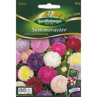 Quedlinburger Saatgut - Quedlinburger Sommeraster Lady Coral Mischung - Premium Blumensamen Quedlinburger Saatgut - Quedlinburger Sommeraster Lady Coral Mischung - Premium Blumensamen von QUEDLINBURGER SAATGUT