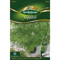 Quedlinburger Topfdill Ella - Premium Kräutersamen von QUEDLINBURGER SAATGUT