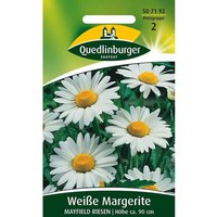 Quedlinburger Weiße Margeriten Mayfield Riesen - Blumensamen von QUEDLINBURGER SAATGUT