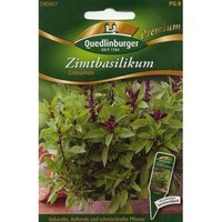 Quedlinburger Zimtbasilikum Cinnamon - Premium Kräutersamen von QUEDLINBURGER SAATGUT