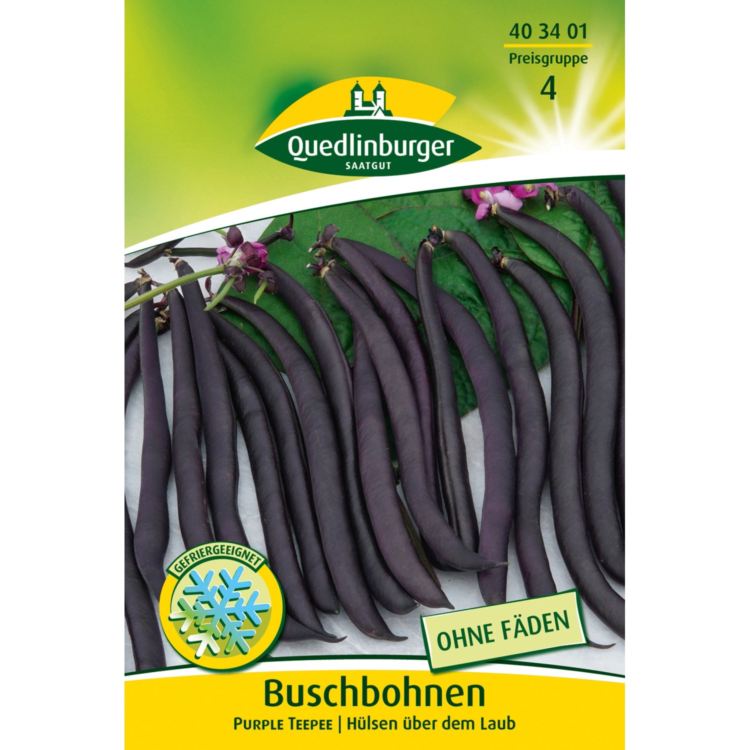 Quedlinburger Buschbohnen ''Purple Teepee'' Quedlinburger Buschbohnen ''Purple Teepee'' von QUEDLINBURGER
