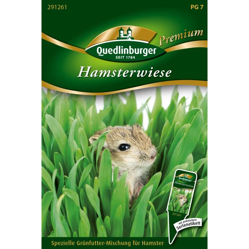 Quedlinburger Hamsterwiese Grün Loses Saatgut von QUEDLINBURGER