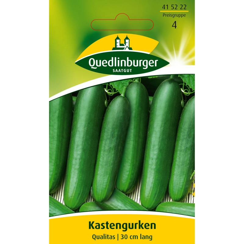 Quedlinburger Kastengurke 'Qualitas' von QUEDLINBURGER