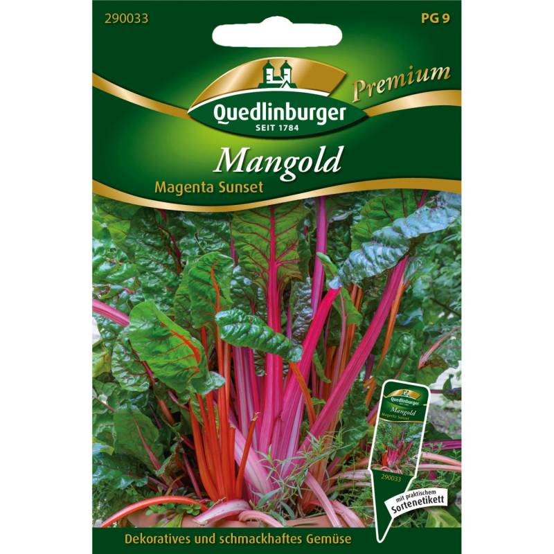 Quedlinburger Mangold Magenta Sunset Loses Saatgut von QUEDLINBURGER