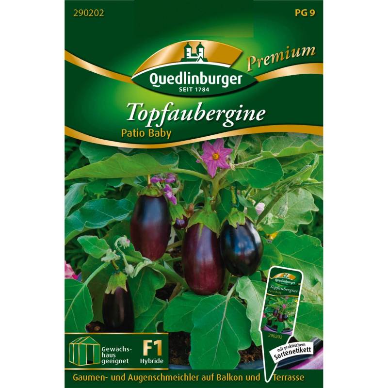 Quedlinburger Topf-Aubergine Patio Baby Loses Saatgut von QUEDLINBURGER