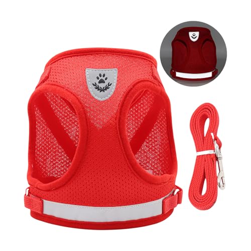 QUEENYARD Hundegeschirr, reflektierend, atmungsaktiv, Netzweste mit Seil für kleine Hunde, sicheres Design, Haustier-Outdoor-Ausrüstung von QUEENYARD