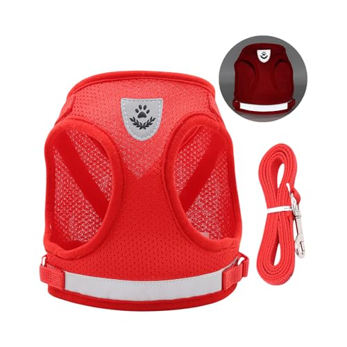 QUEENYARD Hundegeschirr, reflektierend, atmungsaktiv, Netzweste mit Seil für kleine Hunde, sicheres Design, Haustier-Outdoor-Ausrüstung von QUEENYARD