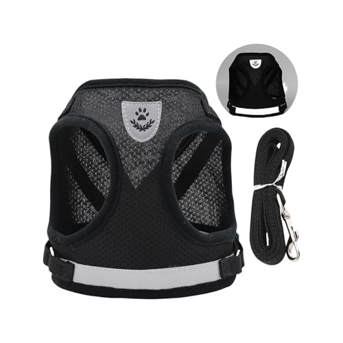 QUEENYARD Hundegeschirr, reflektierend, atmungsaktiv, Netzweste mit Seil für kleine Hunde, sicheres Design, Haustier-Outdoor-Ausrüstung von QUEENYARD