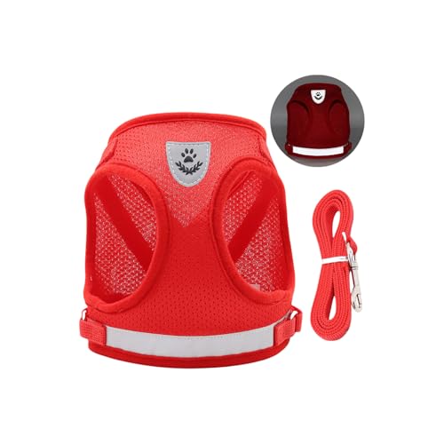 QUEENYARD Hundegeschirr, reflektierend, atmungsaktiv, Netzweste mit Seil für kleine Hunde, sicheres Design, Haustier-Outdoor-Ausrüstung von QUEENYARD