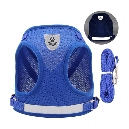 QUEENYARD Hundegeschirr, reflektierend, atmungsaktiv, Netzweste mit Seil für kleine Hunde, sicheres Design, Haustier-Outdoor-Ausrüstung von QUEENYARD