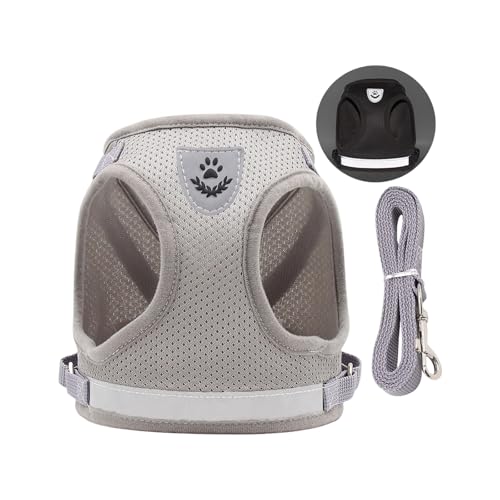 QUEENYARD Hundegeschirr, reflektierend, atmungsaktiv, Netzweste mit Seil für kleine Hunde, sicheres Design, Haustier-Outdoor-Ausrüstung von QUEENYARD