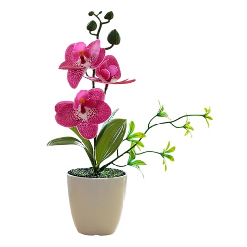 QUEENYARD Künstliche Pflanze, realistische künstliche Bonsais-Orchidee mit bedruckten Blütenblättern, Blumenarrangement für Zuhause, Büro, Schreibtischdekoration QUEENYARD Künstliche Pflanze, realistische künstliche Bonsais-Orchidee mit bedruckten Blütenblättern, Blumenarrangement für Zuhause, Büro, Schreibtischdekoration von QUEENYARD