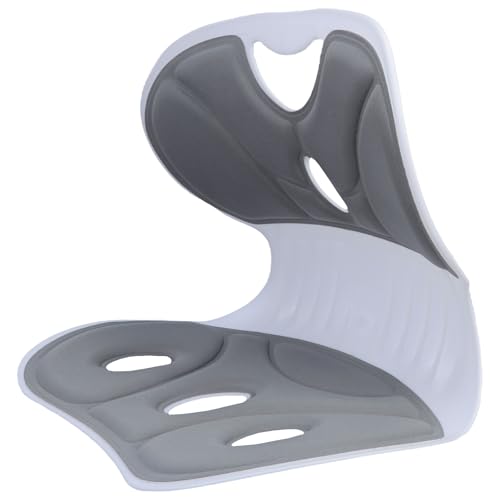 QUEENYARD Stuhl-Taillenkissen, ergonomisches Lendenwirbelkissen zur Korrektur der Sitzhaltung und zur Entlastung des Rückens, für Büro und Zuhause von QUEENYARD