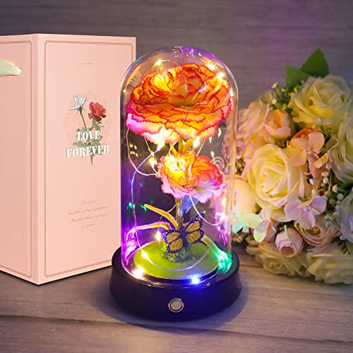 QUELIEN Rosa Nelke in Einer Glaskuppel LED-Lichter, künstliche Blume Nelke Leuchten, Muttertagsgeschenk, Geschenk für sie, Ehefrau, Mutter, Geburtstagsgeschenk von QUELIEN