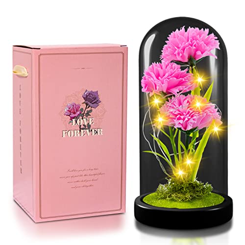 QUELIEN Weihnachtsrosen-Geschenk für sie, Galaxie-Blumen-Rose-Geschenk für Freundin, leuchtende künstliche Blumen, rosa Nelke Glasabdeckung Dekorationsgeschenk für Freundin von QUELIEN