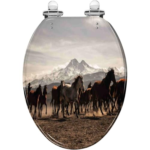 Toilettensitz, Langsam schließende, schnell öffnende, geräuschlose Abdeckung 43 x 36 cm(Style-20) von QUEMUONN