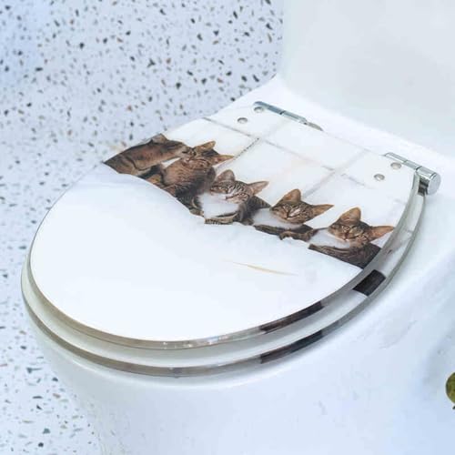 Toilettensitz, Toilettensitz aus Kunstharz, Soft-Close-Design, abnehmbar, for UVO-Toiletten, 42 x 36 cm(Style-1) von QUEMUONN