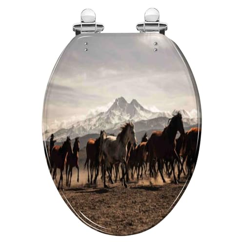 Toilettensitz, Toilettensitz aus Kunstharz, langsam schließend, Größe 36 x 43 cm, Lochabstand 10–20 cm, for Toiletten in UVO-Form(T Style) von QUEMUONN