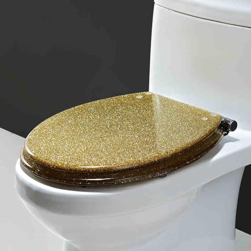 Toilettensitz, Toilettensitz aus Kunstharz for UVO-Toiletten, mehrfarbig, 36 x 42 cm, 13–20 cm Lochabstand(Gold) von QUEMUONN