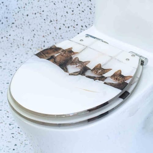 Toilettensitz, Toilettensitz mit Schnellverschluss for U/V/O-Toiletten, 10–20 cm Lochabstand, 33–40 x 40–48 cm(B Style) von QUEMUONN