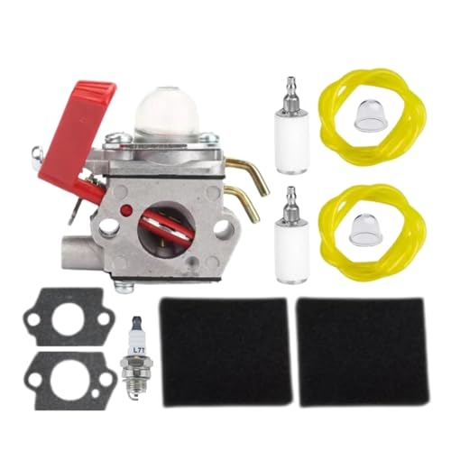 C1U-H39A Vergaser Kit for Homelite PLT3400 PBC3600 Gebläse Carb UP00608A UP00608 UP00021 C1U-H41 von QUIGHZX