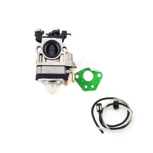 Goten 15-mm-Vergaser mit Leitung, Dichtung for 43 cc/49 cc Boreem-Roller von QUIGHZX