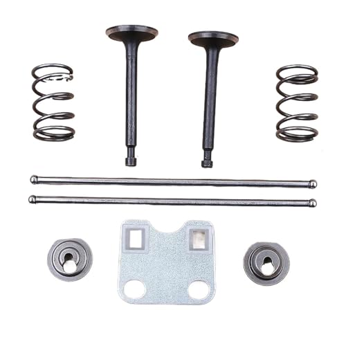 Schubstangenführungsplatten-Kit passend for GX160 GX200 5.5HP 6.5HP 168F 14791-ZE1-010 Motor Wasser Freischneider Schubstangenführungsplatten-Kit passend for GX160 GX200 5.5HP 6.5HP 168F 14791-ZE1-010 Motor Wasser Freischneider von QUIGHZX