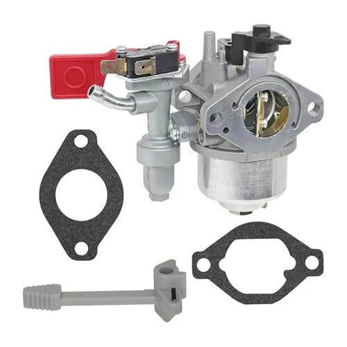 Vergaser passend for Vanguard-Motor 84004885 799060 Carb von QUIGHZX