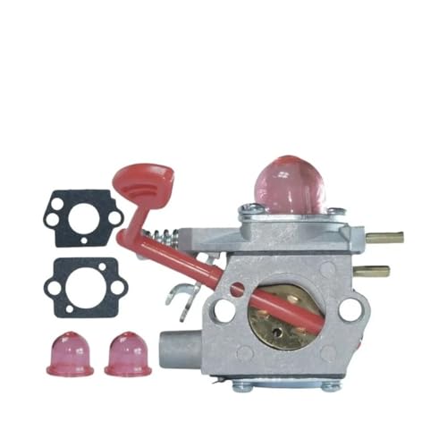 WT-875 545081855 Vergaser BVM200VS P200C 25CC Gebläsevergaser von QUIGHZX
