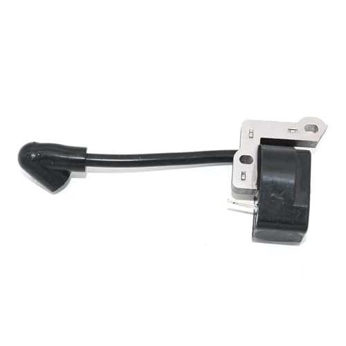 Zündmodul for RY09460 RY13010 RY34000 RY34420 RY34421 RY34440 (S430) RY34441 RY64400 FY09440 RY34001 RY34442 RY34005 von QUIGHZX