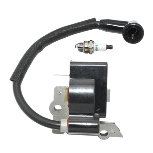Zündspule for XT125K XT125KT XT125T XT125TR WT3100 BC30B WT3100 176 196 PP111 PP114 PP117 von QUIGHZX