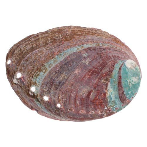 QUMIIRITY Aromatherapie-Halter Mit Abalone-Muschel Natürlicher Dekoration Für Aromatherapie Muschelornament Für Haushaltsdekoration QUMIIRITY Aromatherapie-Halter Mit Abalone-Muschel Natürlicher Dekoration Für Aromatherapie Muschelornament Für Haushaltsdekoration von QUMIIRITY