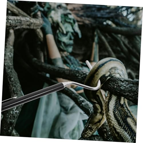 QUMIIRITY Ausziehbarer Professioneller Schlangenhaken aus Edelstahl mit Teleskopgriff Reptiliengeeignet und Sicher für Fang und Haustierhaltung für Schlangenliebhaber und Reptilienfreunde QUMIIRITY Ausziehbarer Professioneller Schlangenhaken aus Edelstahl mit Teleskopgriff Reptiliengeeignet und Sicher für Fang und Haustierhaltung für Schlangenliebhaber und Reptilienfreunde von QUMIIRITY