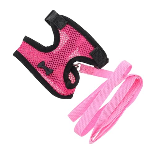 QUMIIRITY Verstellbares Hühnchen Geschirr mit atmungsaktivem Netzstoff Extra Langer Leine Komfortablem Design für Hühner Enten und Gänse Geeignet für Outdoor Spaziergänge und Verschiedene von QUMIIRITY