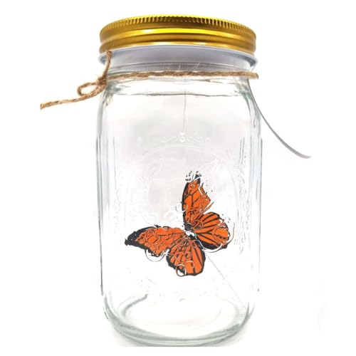 QUR Butterfly-Kollektion in einem Glas, Schmetterlingsglas, das sich bewegt, LED-Licht, romantisches Glas, animierter Schmetterling, Orange, langlebig, einfach zu installieren, einfach zu bedienen von QUR