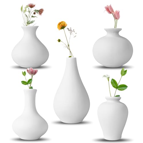 Keramikvase -Set, 5 weiße Mini -Blütenknospen -Vase, Blumenvasen für Moderne Wohnkultur, dekorative Vase für Pampasgras, Wohnzimmer, Regaldekor, Esstisch, Bücherregal, Kaminsims, Eingangs (Weiß) von QUTHZZHY