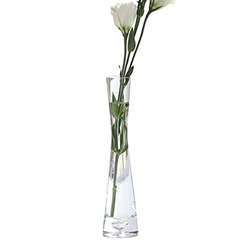 20 cm Höhe Glas-Blumenvase, transparent, dekorative Knospenvase, einzelner Stiel, Vasen für Zuhause, Hochzeit, Büro, Weihnachtsdekoration von QUUPY