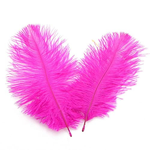 Natürliche Straußenfedern, 15,2–20,3 cm, zum Basteln, für Hochzeit, Party, Tafelaufsatz, Heimdekoration, 50 Stück (Hot Pink) von QUUPY