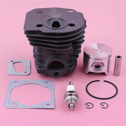 44mm Zylinderkolbensatz passend for CS2153 CS2152 CS2150 CS2149 Kettensägendichtungsring Sicherungsringmotor von QVFMAJJDA