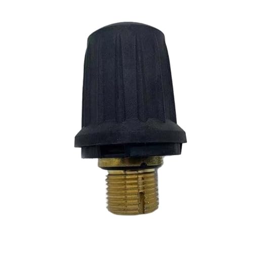 Ersatz-Sicherheitsventil aus Messing, kompatibel mit Kärcher SC1/SC2/SC1020/SC4/SC5/CTK10/SG4-4, Dampfreiniger-Druckablasskomponente(SG4-4) von QVIBRKQQZ