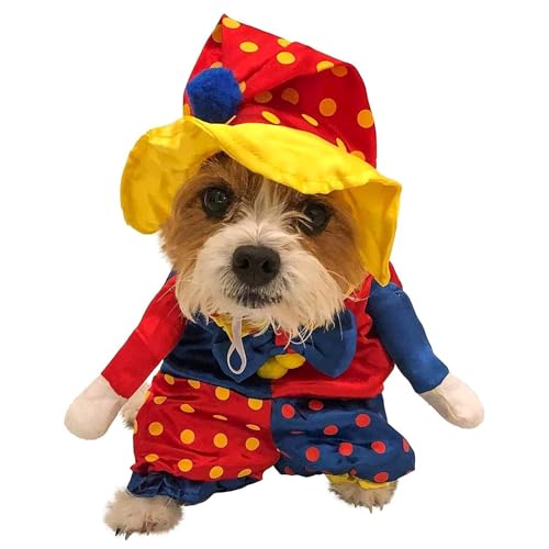Halloween-Clownkostüm für Hunde mit Hut, Zirkuskostüm, super lustiger Clown-Stil, geeignet für kleine Hunde und Katzen, Halloween-Party-Verkleidung (XXL) von QVK