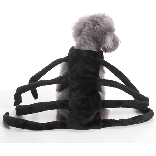 Halloween-Hexenkostüm-Set für Welpen, Halloween-Partykleid und -Hut, Festliche, lustige Kostüm-Requisiten, geeignet für die Feiertagsverkleidung von Katzen und Hunden (Black,Medium) von QVK