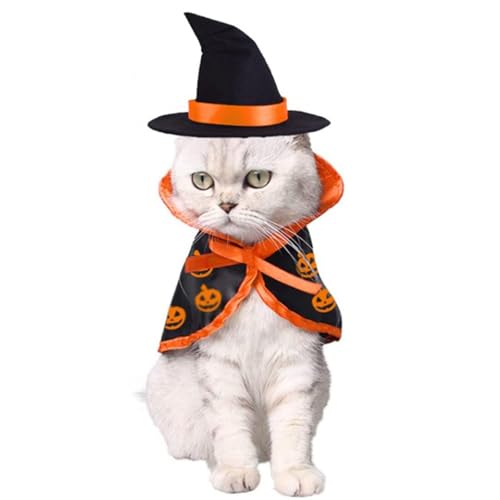 Halloween Katzenumhang Hexenkostüm, Umhang und Hexenhut, Katzen- und Kleinhunde-Rollenspiel (Orange,Einheitsgröße) von QVK